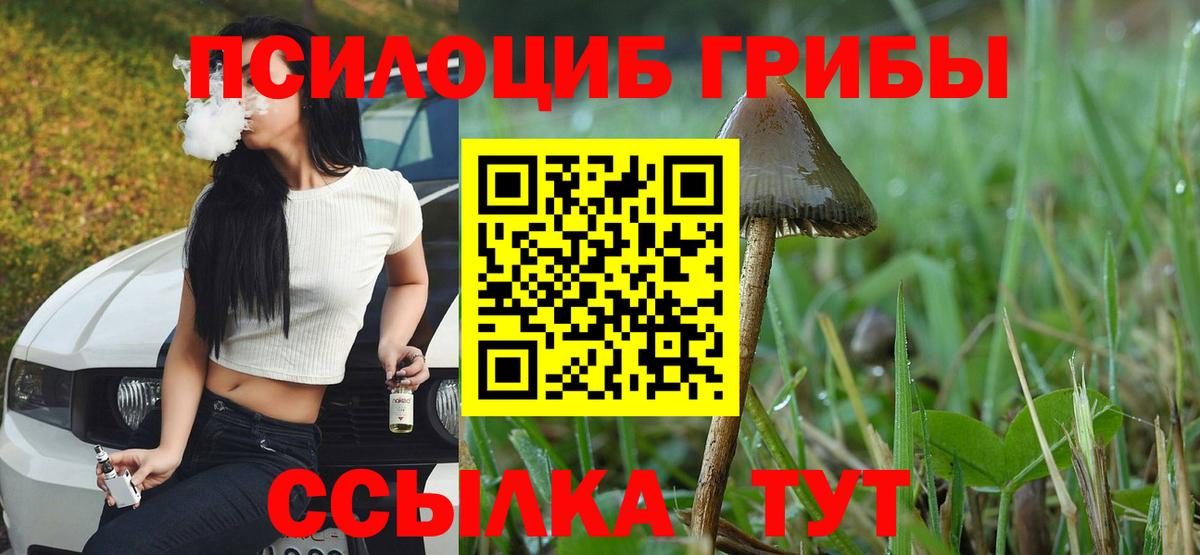 Галлюциногенные грибы Psilocybine cubensis  Вход с VPN  Артёмовский 